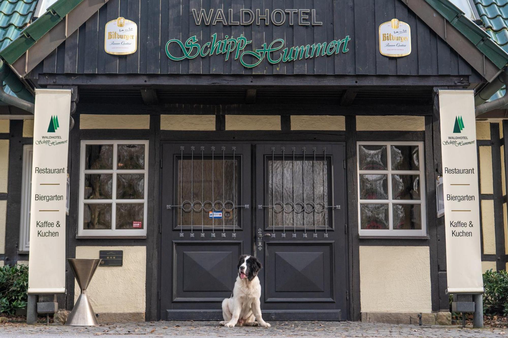 Waldhotel Schipp-Hummert Emsdetten Zewnętrze zdjęcie